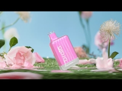 Drala 600/800 Hauche Wegwerf-Vape sperrt Zigarette Vape des Frucht-Aroma-E ein